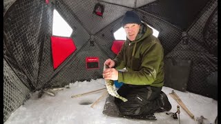 Аляска. Рыбалка в палатке в течении 3х дней. Что из этого вышло.