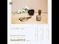【スプリットツアー】SeihoWHYZ開催決定!!