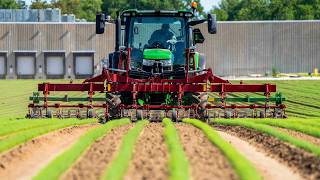 Taking Basket Weeding To Commercial Scale | 3 Beds In One Pass