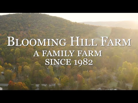 The Blooming Hill Farms Family