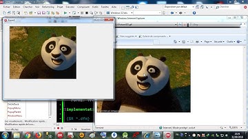Delphi 23 Image / 6 Animation GIF Picture