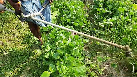 Agriculture weed cutter|| Bush cutter||