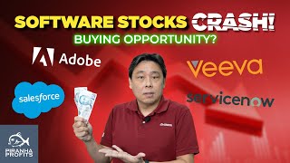 software stocks crash! buying opportunity?