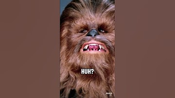 Han & Chewie’s Bromance 💕💕