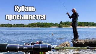 Микроджиг на реке Кубань | Первая рыбалка с Basara Faktor 2 | невесомая катушка Vanrex micro game