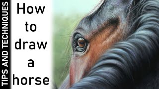 HOW TO DRAW A HORSE IN PASTELS | PASTEL TIPS screenshot 5