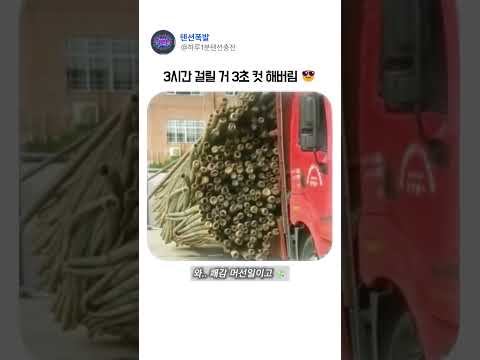 1초 만에 퇴근하는 방법 ㅋㅋ #쾌감영상 #생활의지혜