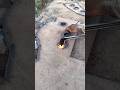 how to cutting iron plate hand method skills #shortsvideo #shorts #weldingidea#weldingprojects#viral