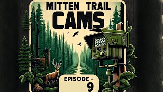 Mitten Trail Cams Ep. 9: A Trail Through the Forest.