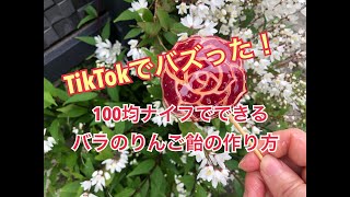 フルーツカービングでバラのりんご飴を作ってみた りんご飴 フルーツ飴 tiktok 100均