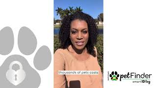 Why Pet Finder Is More Than Just a Smart ID Tag