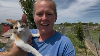 Saying Goodbye to Babies and a Shortish Garden Tour (vlog 142)