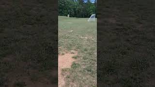 Forehanding the cheese slice. #discgolf #youtubeshorts #frisbeegolf #square #disc