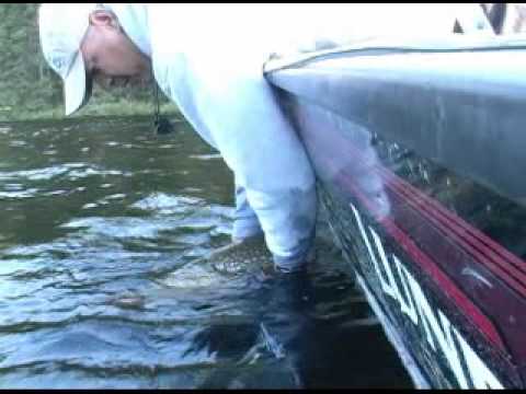 Monster pike, best pike fishing in Canada, 2009,Fishing video, Fishing for,
