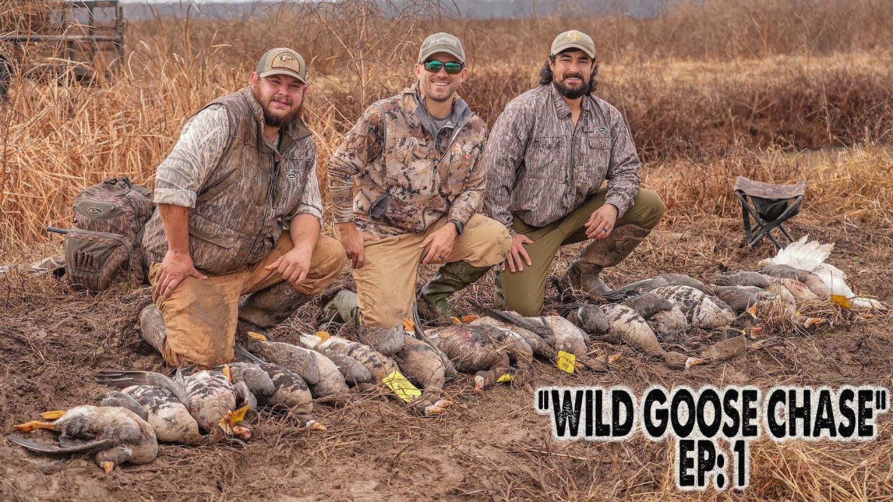 Arkansas Specklebelly LIMITS "Wild Goose Chase Chronicles" EP 1 YouTube