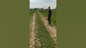 Зайцы спят