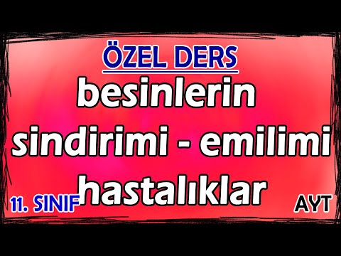 18) Sindirim Sistemi 3 - Besinlerin Sindirimi ve Emilimi - Hastalıklar - Özel Ders (11. Sınıf)