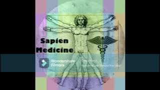 Sapien Medicine's Masculine Energy