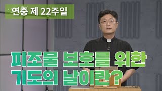 피조물 보호를 위한 기도의 날_연중 제22주일_오늘 다시 주님께