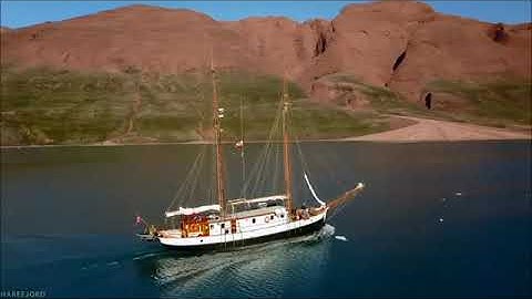 آيات من سورة النمل    القارىء بيشه وا قادر الكردي