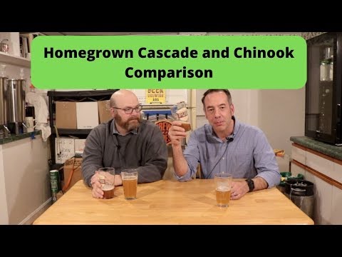 Brewing with Homegrown