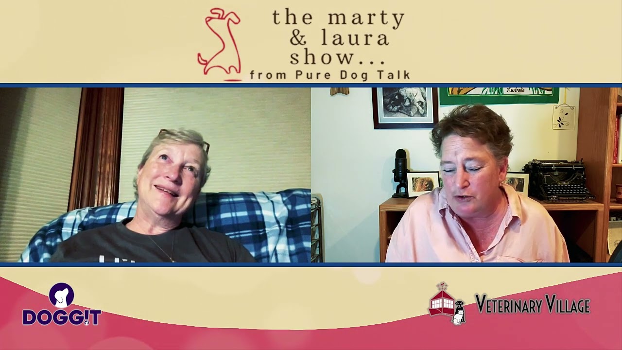 Funny Stories =- Confessions: ALLLLLL the Ways Our Dogs Have Embarrassed Us