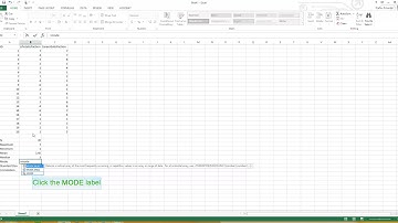 Excel Demographics Walkthrough