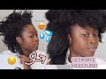 THE ULTIMATE MOISTURIZING ROUTINE FOR DRY 4B/4C HAIR! || WINTER NATURAL HAIR ROUTINE.