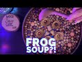 Frog Soup?! 8 Hour Sleepy Compilation w/ Spring Rain & Frogs