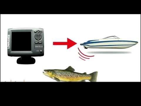 How Fish Finders Work