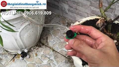 Hệ thống tưới cây nhỏ giot tự động thiết bị, lắp đặt mô hình tưới nhỏ giọt
