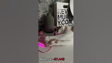 My cat open cases # #cs2 #cs2stream #gaming #cs2clips #cat #cs2live #gamer #opencase #csgo