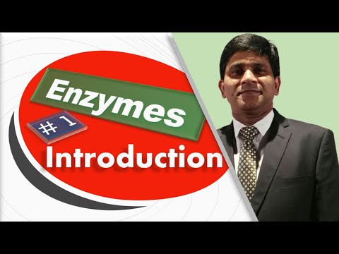 Enzymes: Introduction: Definition and features:  biochemistry