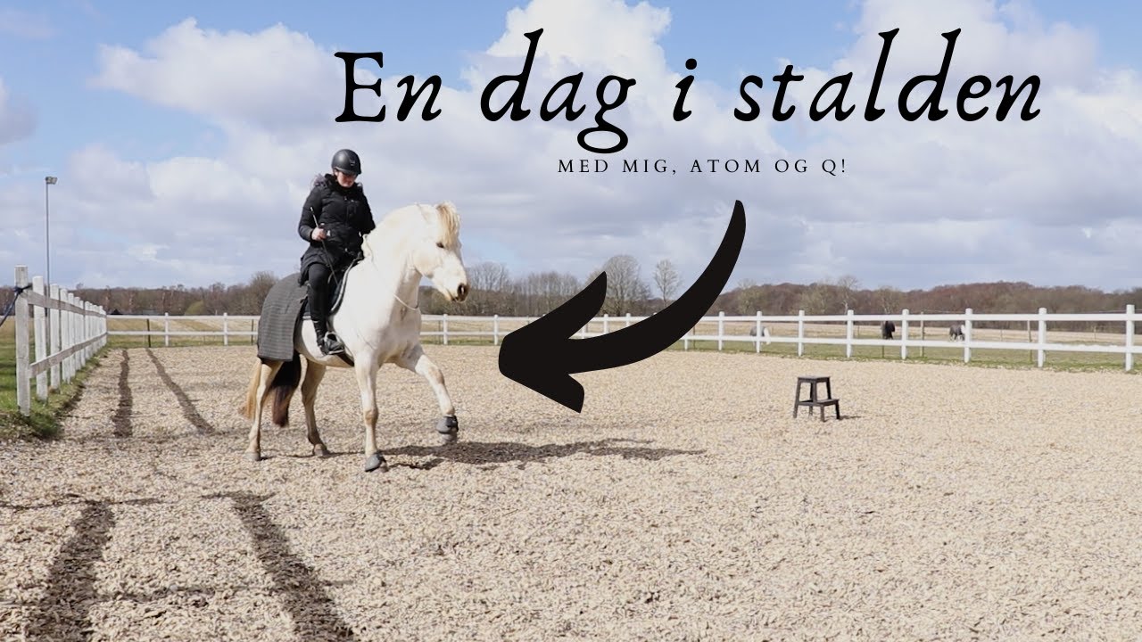 VLOG#7 En dag i stalden