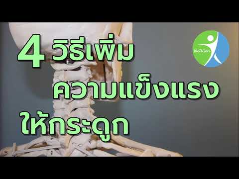 4 วิธีเพิ่มความแข็งแรงให้กระดูก WELLGENTHAILAND.COM