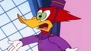 Woody Woodpecker | Woody Gets a New Job + More Full Episodes