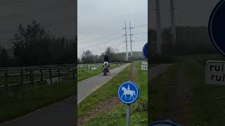Rock the board#rocktheboat #rocktheboard#horseboarding#horseboardingteam #horseboarding#lolmetjeknol