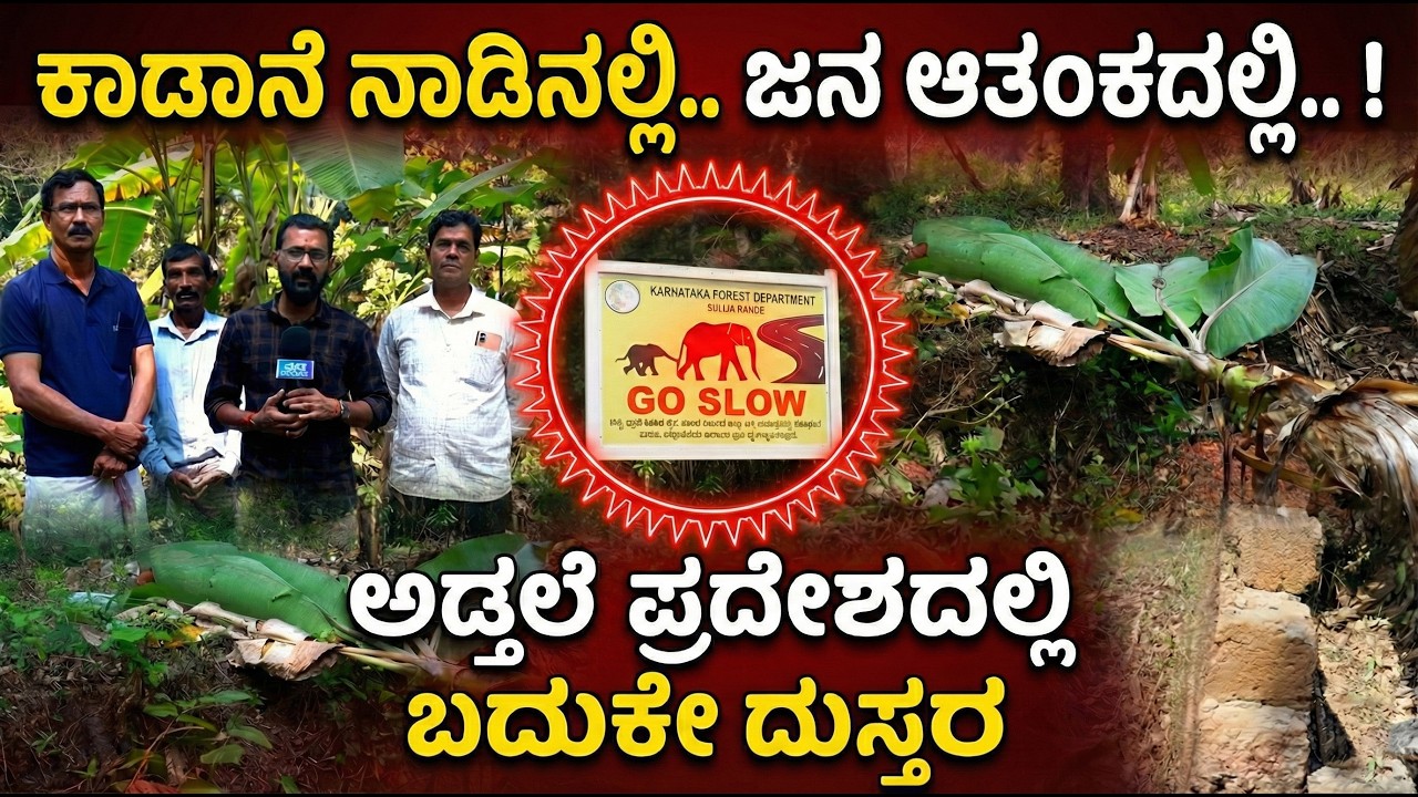 ಕಾಡಾನೆ ನಾಡಿನಲ್ಲಿ.. ಜನ ಆತಂಕದಲ್ಲಿ.. !ಅಡ್ತಲೆ ಪ್ರದೇಶದಲ್ಲಿ ಬದುಕೇ ದುಸ್ತರ