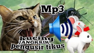 Suarajangkrik Dan Kucing Pengusir Tikuscutecreator