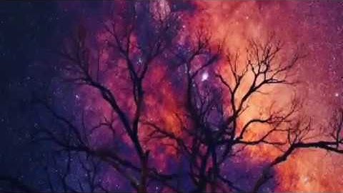 دقيقة من تلاوة خاشعة للشيخ عكاشة كميني (سورة هود)