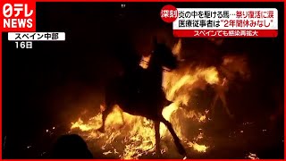 【スペイン】２年振り