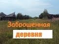 Заброшенная деревня.Костромская область.