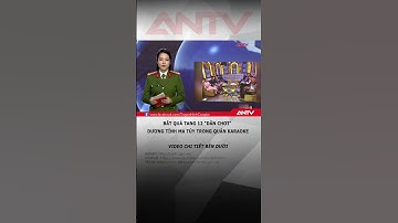 Đột kích quán Karaoke Chí Tài, phát hiện12 đối tượng dương tính ma túy #antv #shorts #matuy