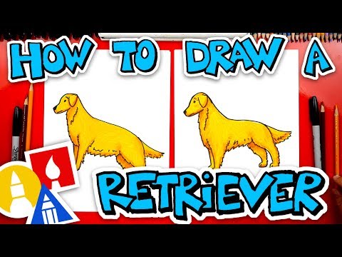 How To Draw A Golden Retriever