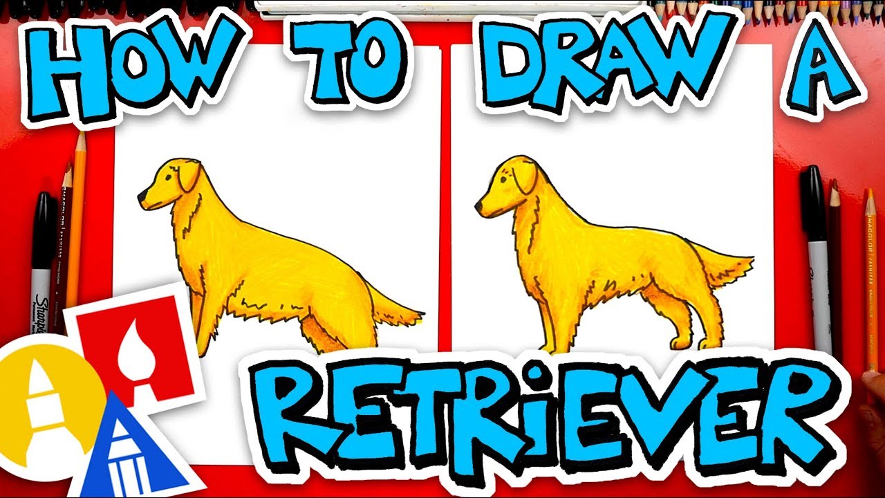 How To Draw A Golden Retriever Youtube