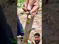 Grafting process #shortsfeed #grafting #farming #shortsvideo #trendingshorts