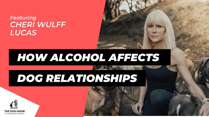 How Excess Alcohol Affects Your Relationship With ...