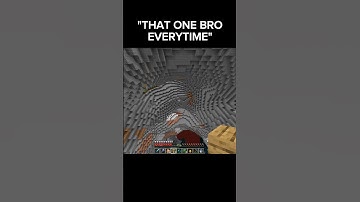 That One Bro In Minecraft #shorts #minecraft #viralshorts