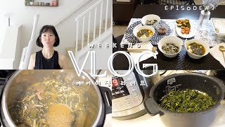 얼바인 🇺🇸 빽비서, 주말에도 쉴 틈 없는 워킹맘의 현실💨 | 호수공원 강아지 산책+미용실+초간편 집밥레시피: 인스턴팟 시래기국, 딘타이펑 오이샐러드 & 곤드레밥