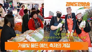 가을빛 물든 예천, 축제의 계절